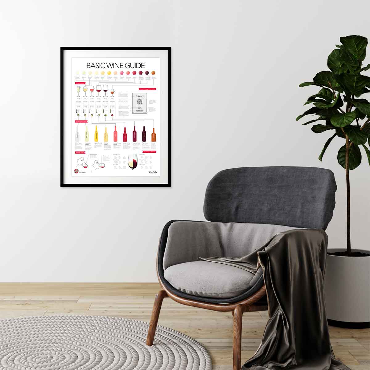 Basic Wine Guide - Image 2