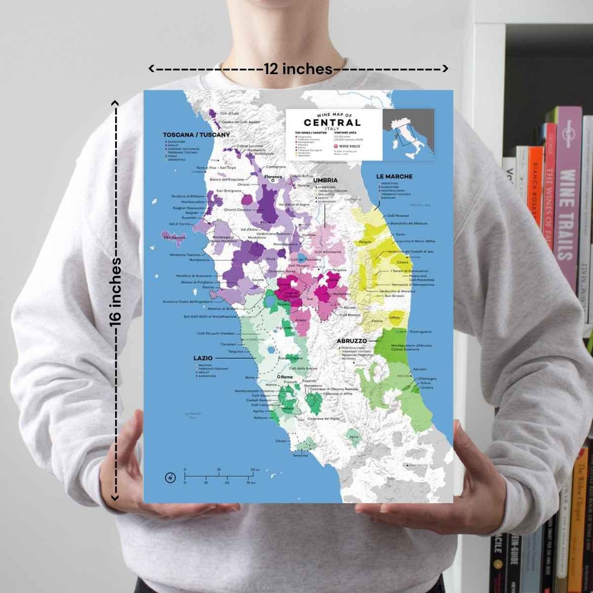 Italy Central Wine Map - 2nd Edition - Image 2
