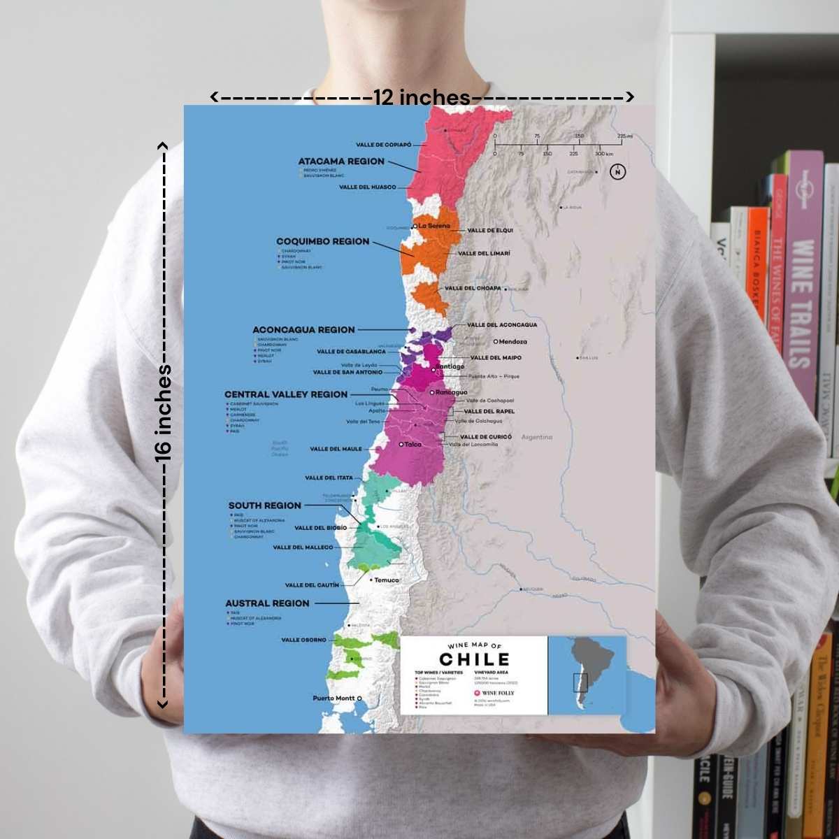 Chile Wine Map - 2nd Edition - Image 2