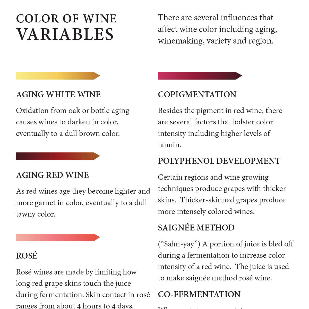 Color of Wine - Image 10