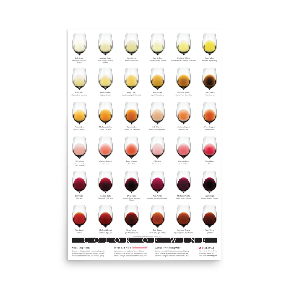 Color of Wine - Image 11