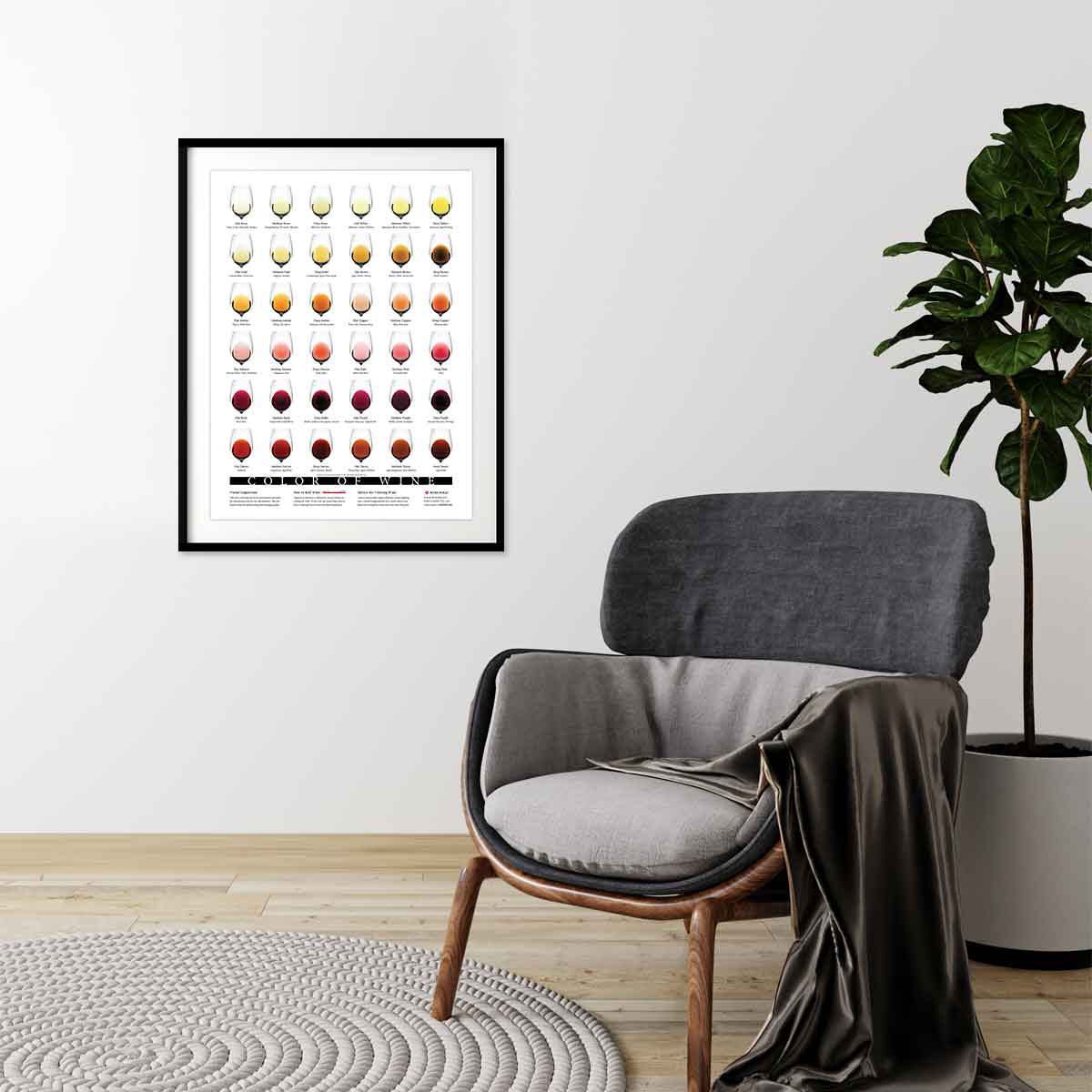 Color of Wine - Image 5