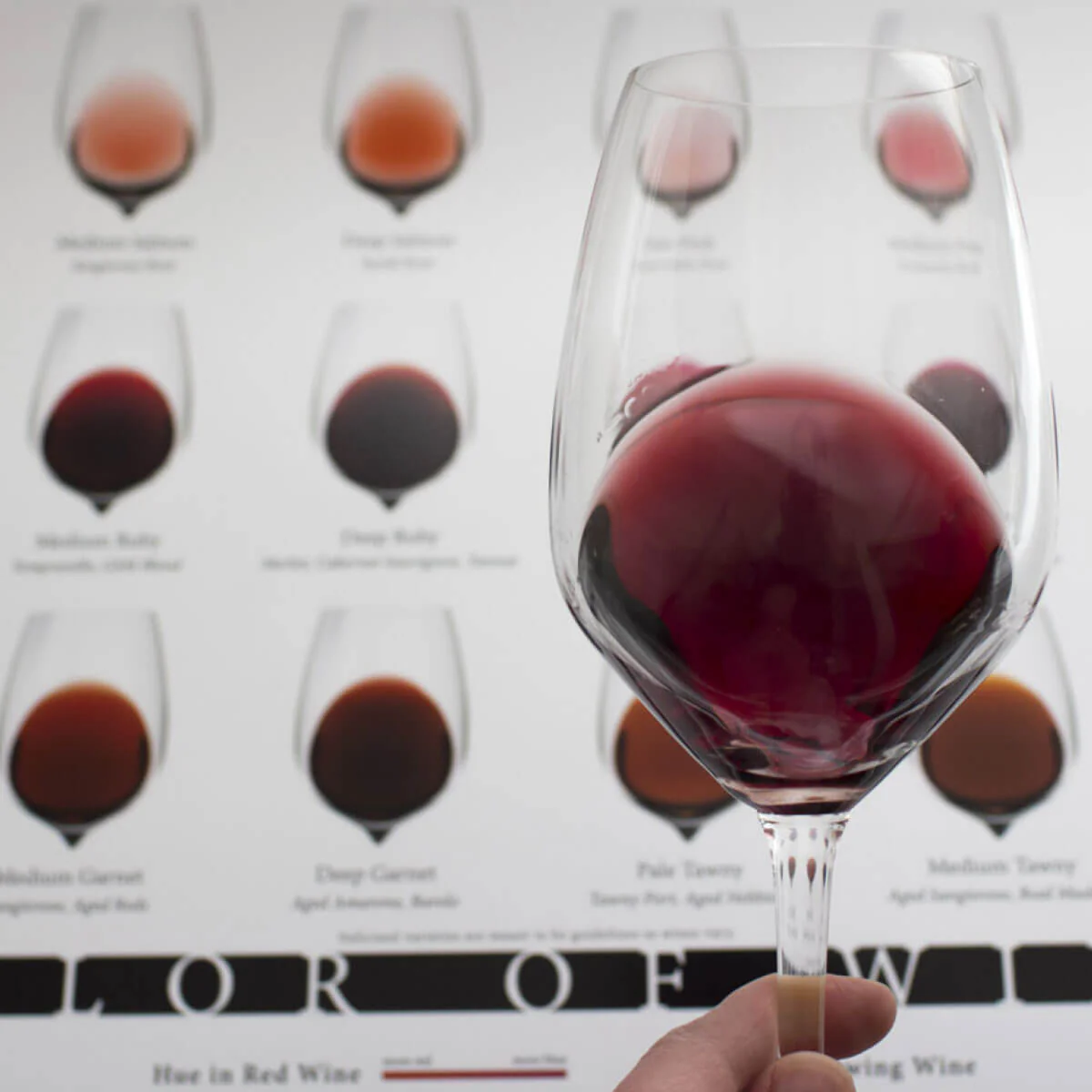 Color of Wine - Image 6