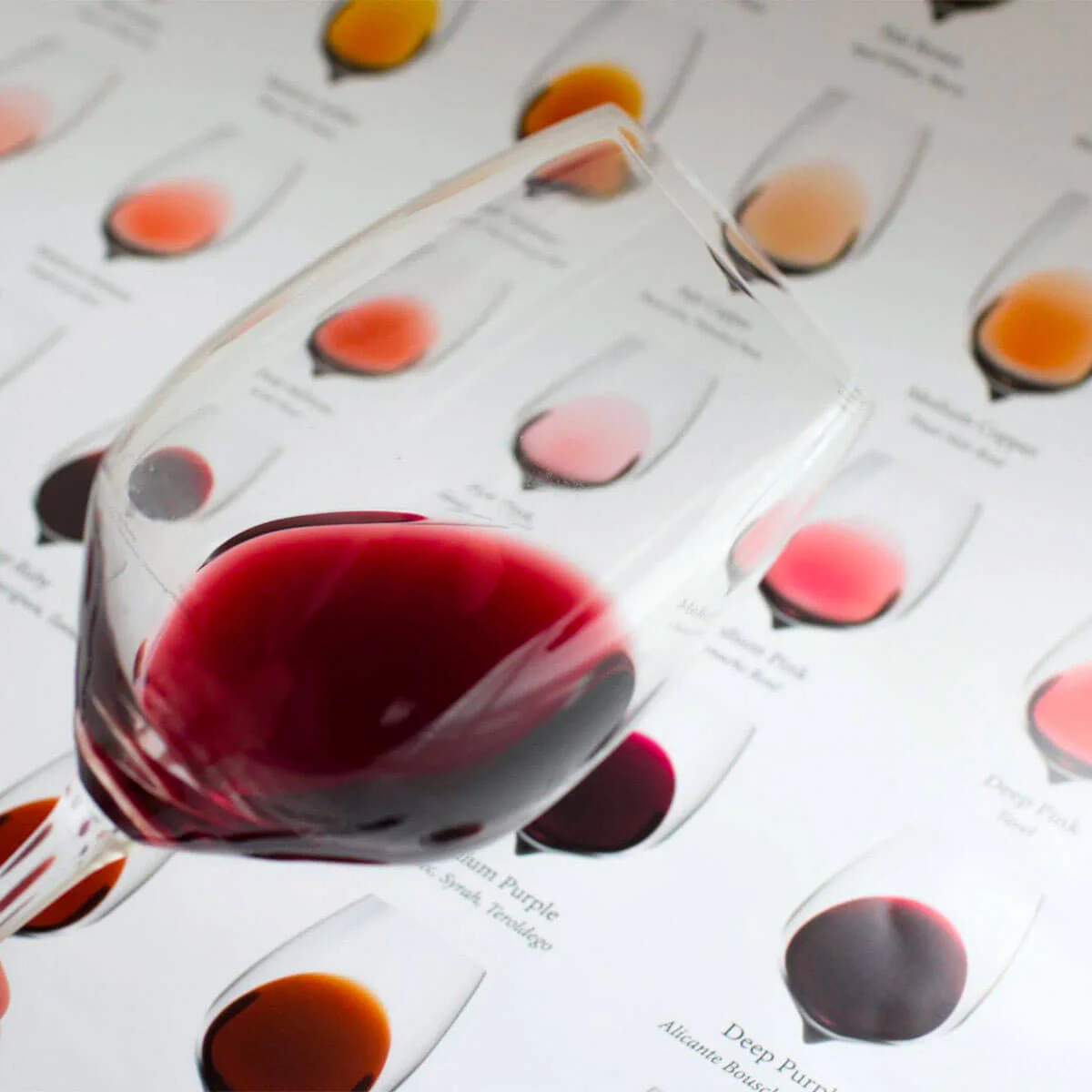 Color of Wine - Image 7