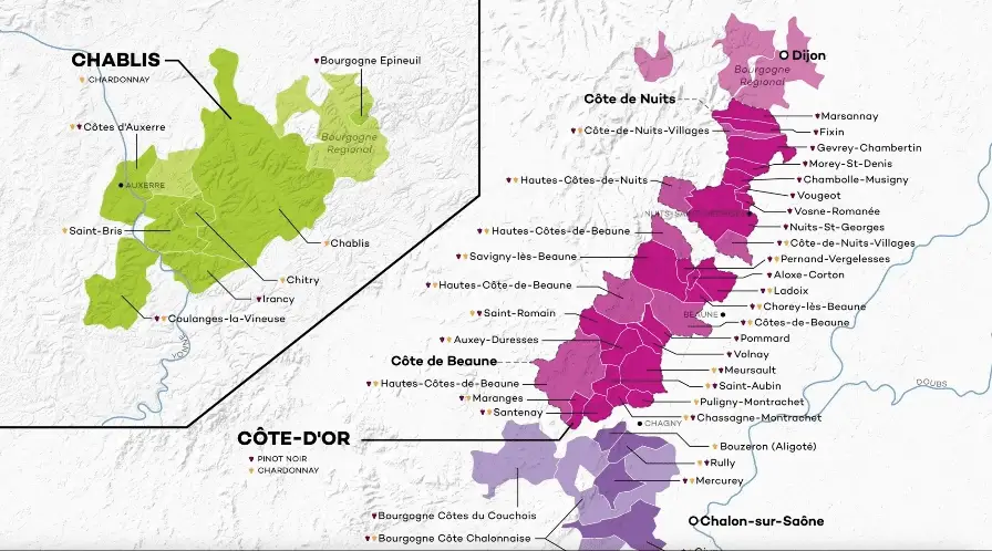 Wine Folly Wine Map Set - 2nd Edition - Image 3