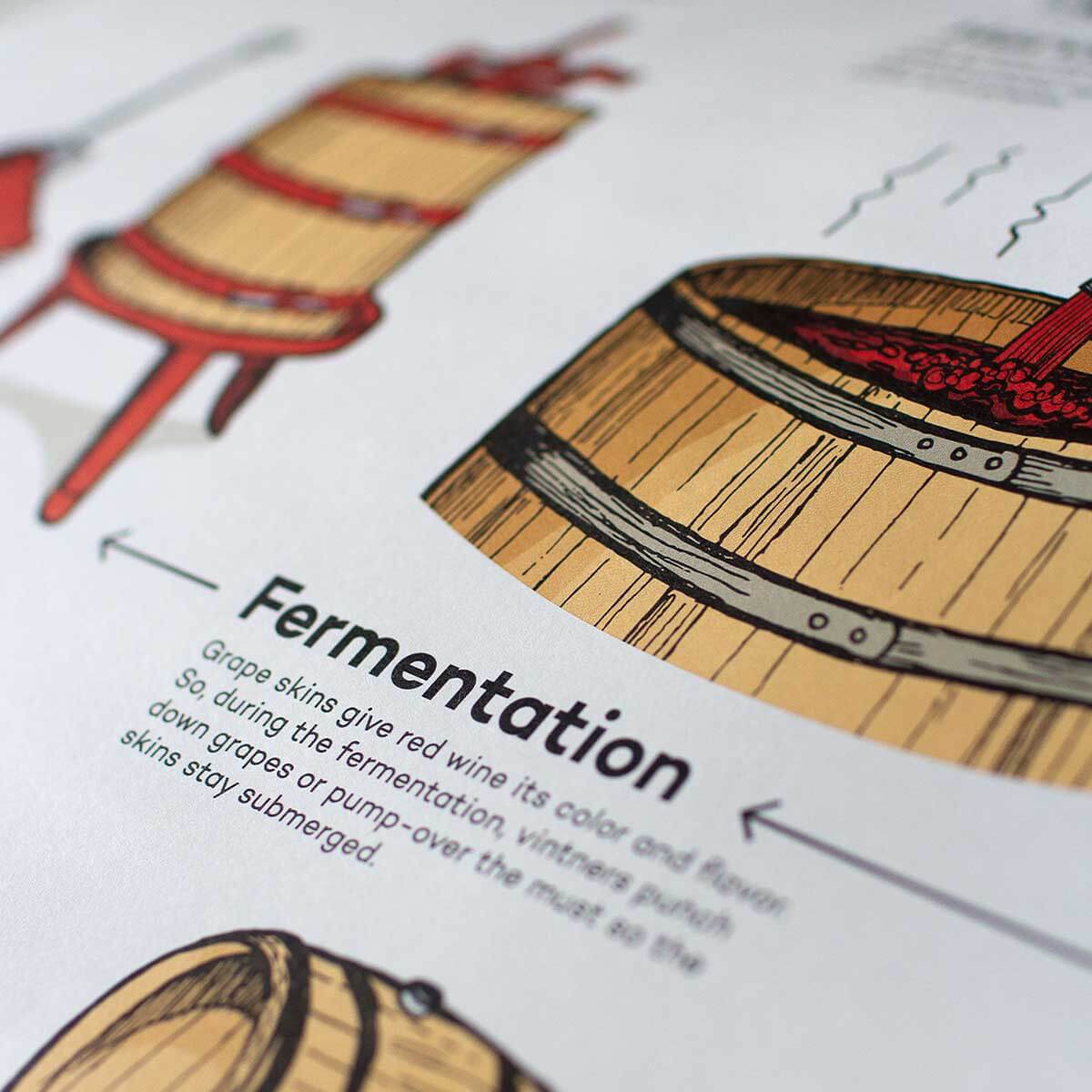 How Red Wine Is Made - Image 3