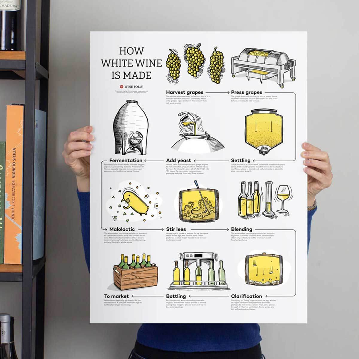 How White Wine is Made - Image 2