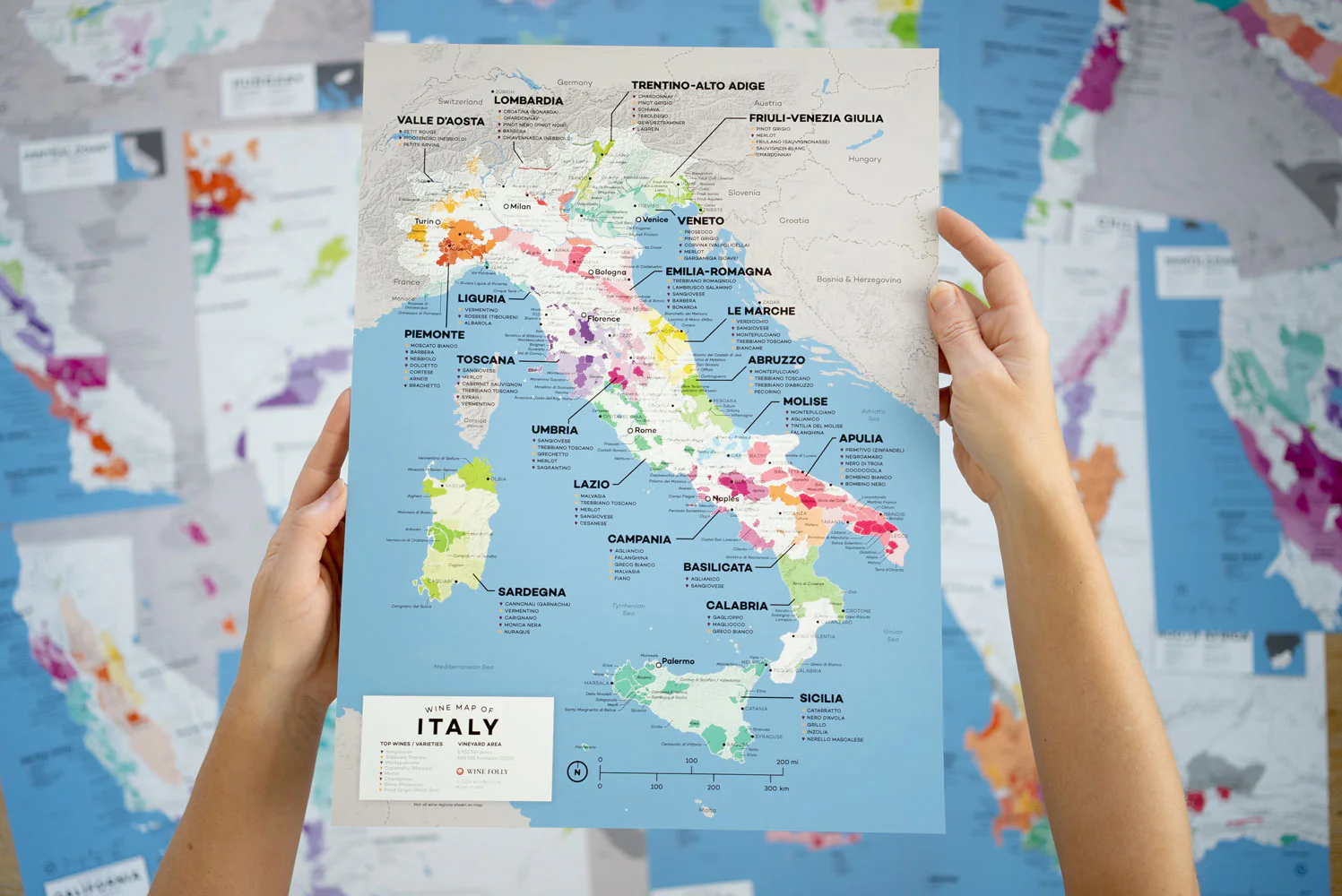 Wine Folly Wine Map Set - 2nd Edition - Image 7
