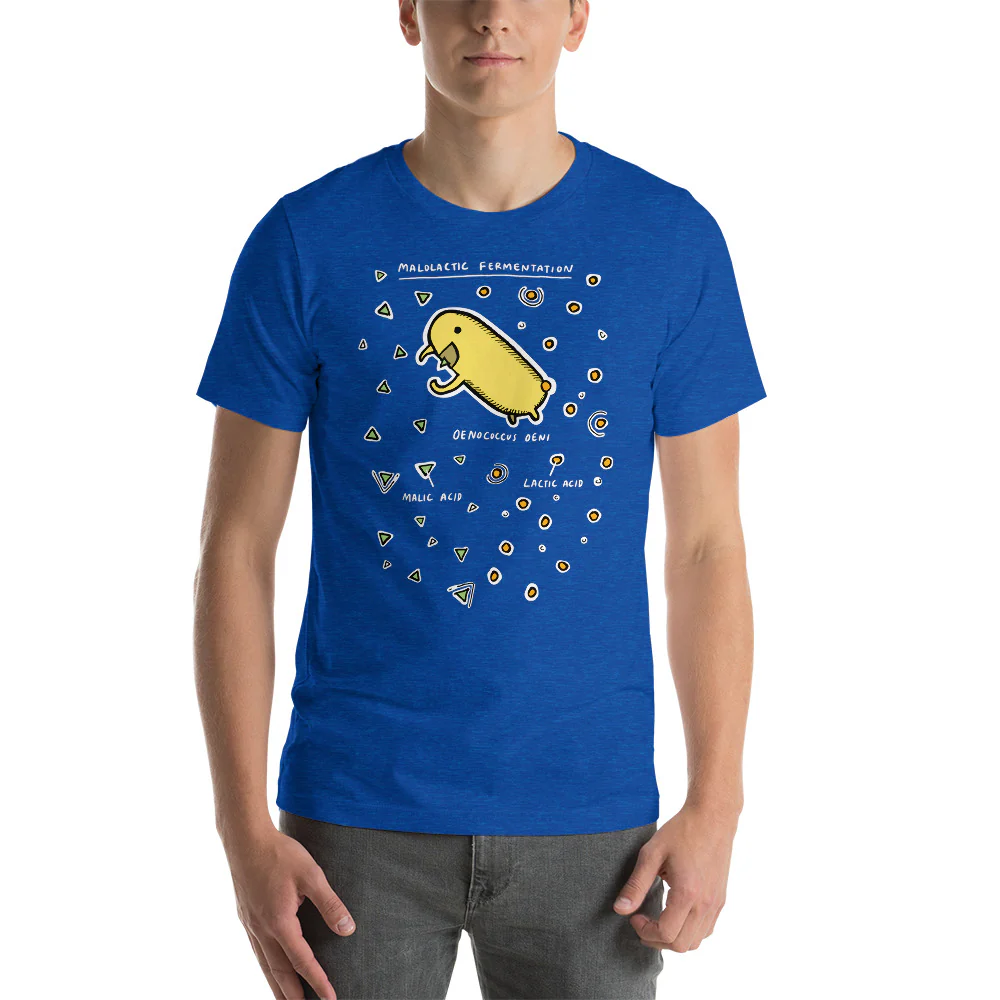 Malolactic Fermentation Short-Sleeve Unisex T-Shirt - Image 5