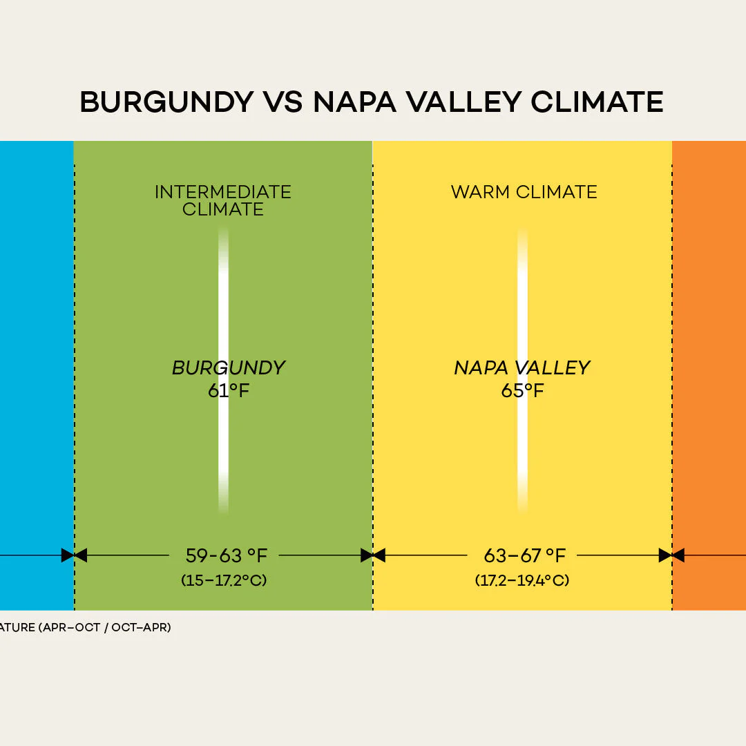 Napa Valley 101 - Image 6