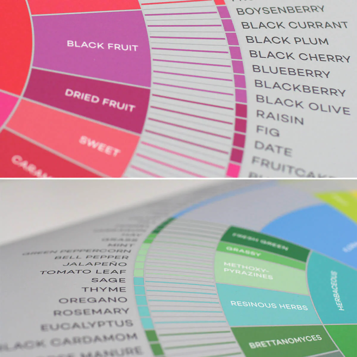 Wine Flavors / Aroma Lexicon - Image 4